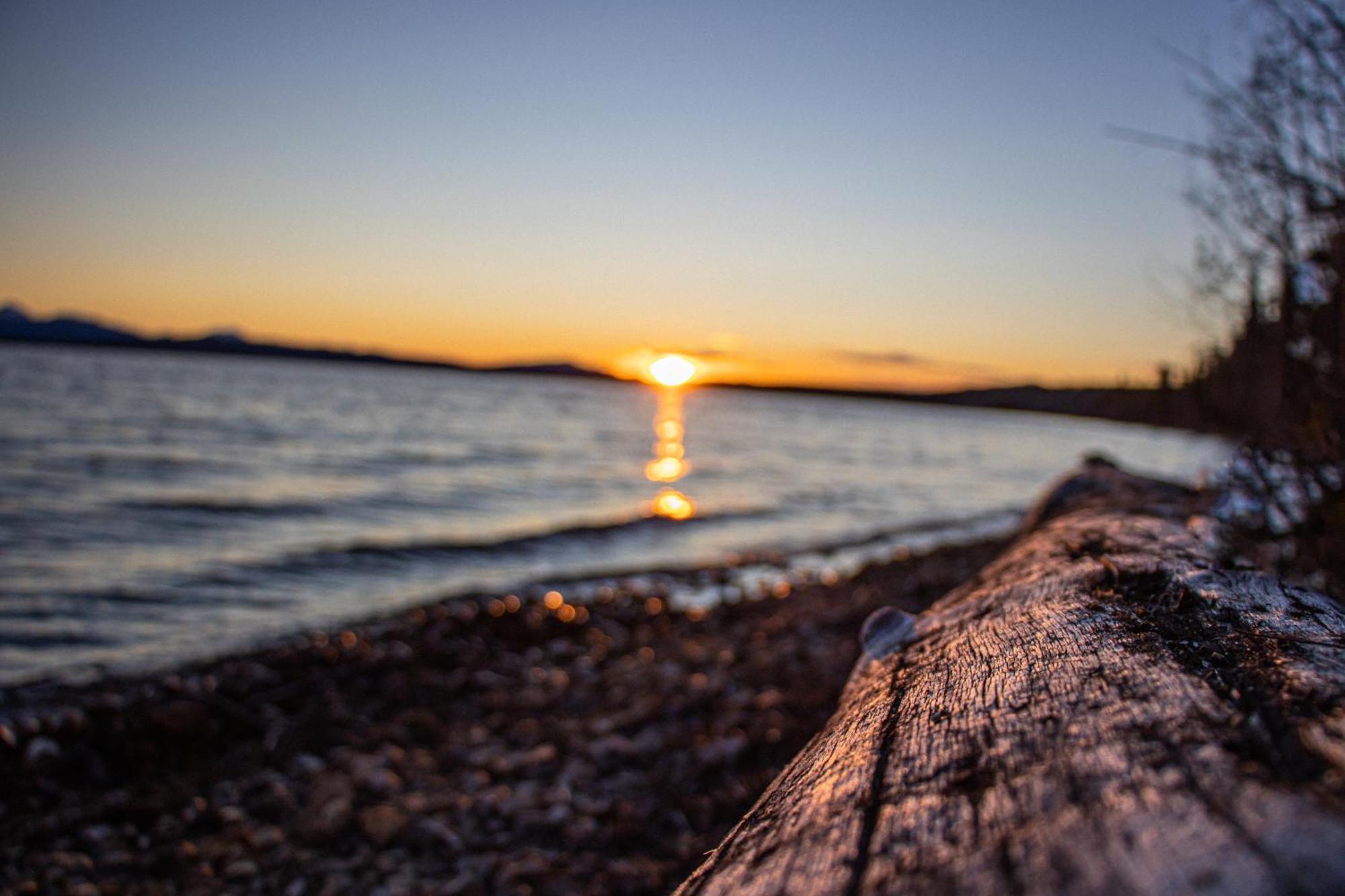 Little Atlin Lodge Tagish Εξωτερικό φωτογραφία