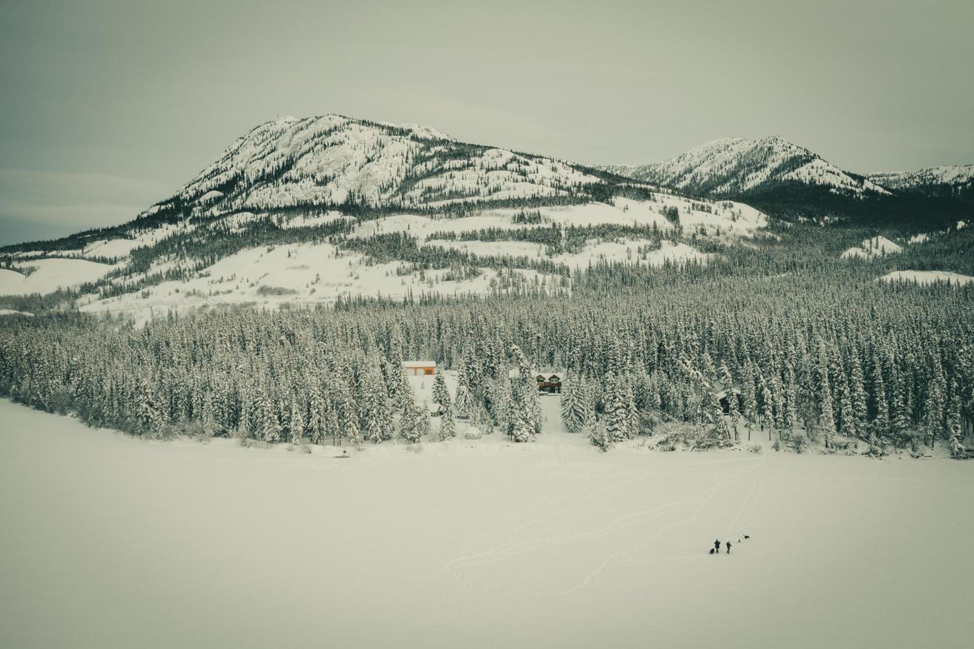 Little Atlin Lodge Tagish Εξωτερικό φωτογραφία