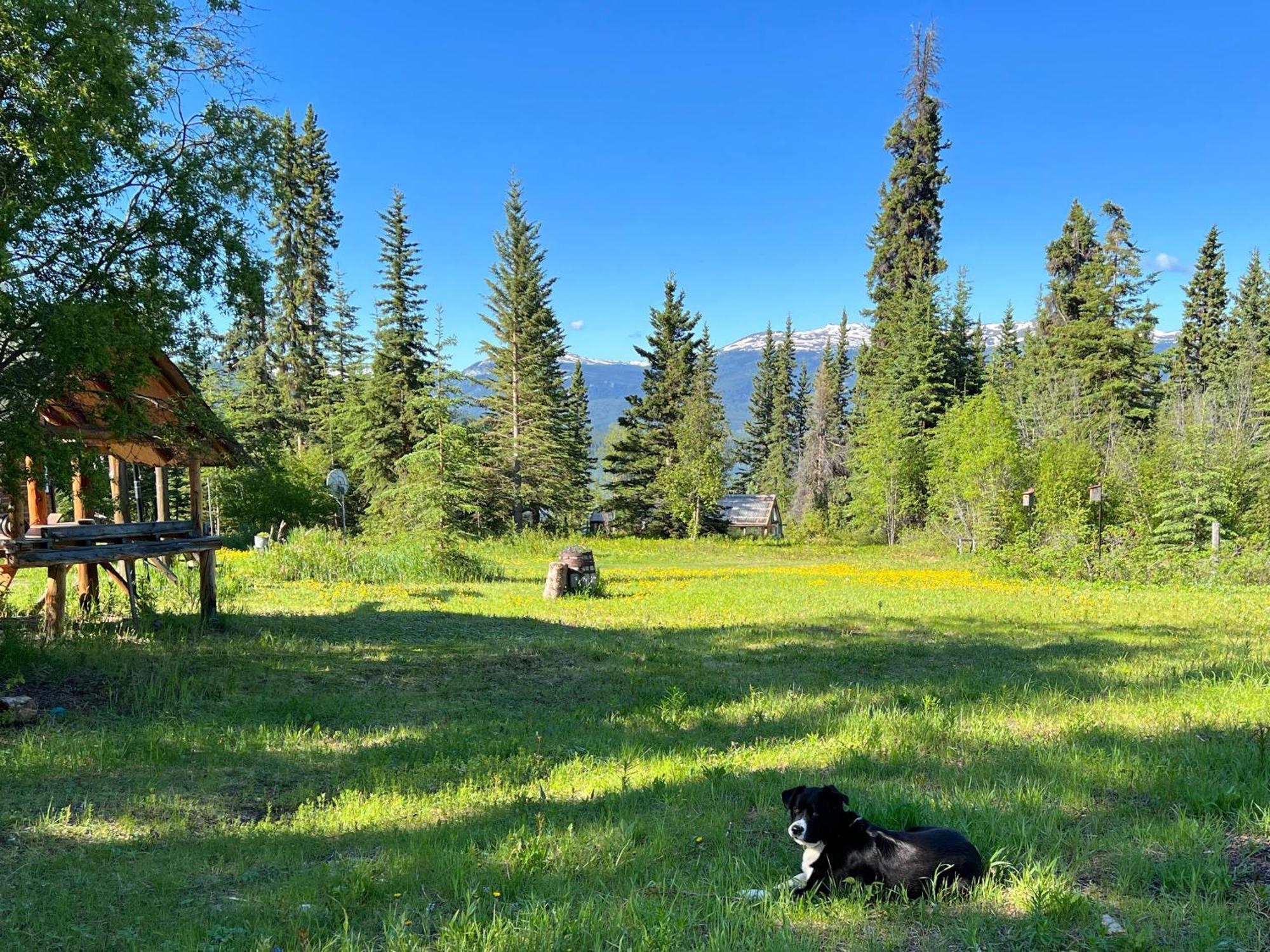 Little Atlin Lodge Tagish Εξωτερικό φωτογραφία